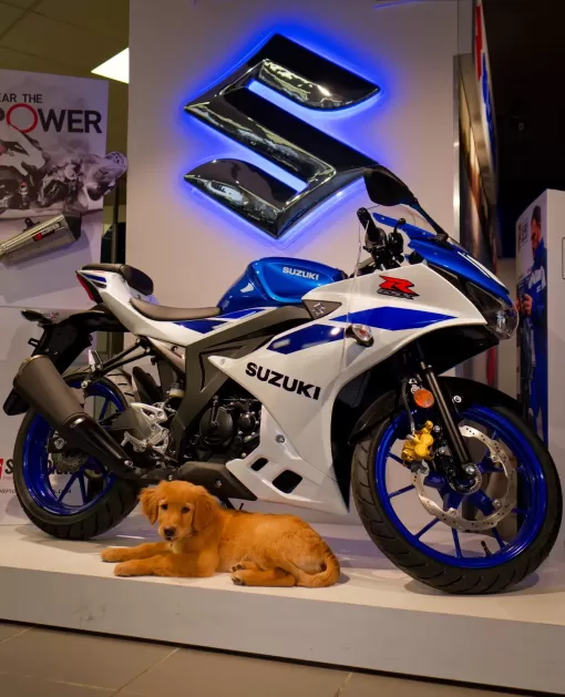 suzuki-motorcycle-dealer-scotland-7.JPG